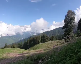 Bhrigu Lake Trek - Green View